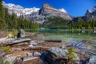 Lake O'Hara-4406